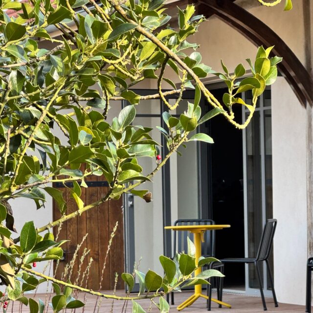 🌞 Imaginez une journée de travail dans les espaces de réunions des Clavendiers…
Bienvenue à La Forge – Les Clavendiers !
Un cadre inspirant, hors du temps, où chaque espace est pensé pour favoriser la concentration, les échanges et la créativité.
Le matin, cap sur l’Atelier ✨
Avec sa capacité d’accueil de 16 personnes, c’est le lieu idéal pour : des réunions d’équipe, des formations, des séances de travail collaboratif...
Tout y est conçu pour votre confort :
- Équipements de vidéoconférence
- Un espace cuisine convivial
🌿 Une atmosphère propice à l’énergie collective et aux idées partagées
L’après-midi, place à une ambiance plus intimiste dans le Studio ✨
Un espace chaleureux, parfait pour des rencontres en petit comité (jusqu’à 6 personnes) : réunion stratégiques, discussions plus décontractées, moments d’échange privilégiés...avec : Fauteuils lounge, écran TV, table de travail fonctionnelle...
💼 Aux Clavendiers, chaque instant de votre journée est pensé pour conjuguer efficacité… et art de vivre.
🌿 Travailler autrement. Se réunir autrement. Respirer autrement.
📍 Les Clavendiers – 3 Passage St Vincent, Nuits-Saint-Georges
📞 +33 6 24 88 18 46
✉️ contact@lesclavendiers.fr
#NuitsSaintGeorges#LesClavendiers #LaForge #Workshop #Séminaire #SalleDeRéunion #TeamBuilding #Bourgogne #WorkSpace #Inspiration